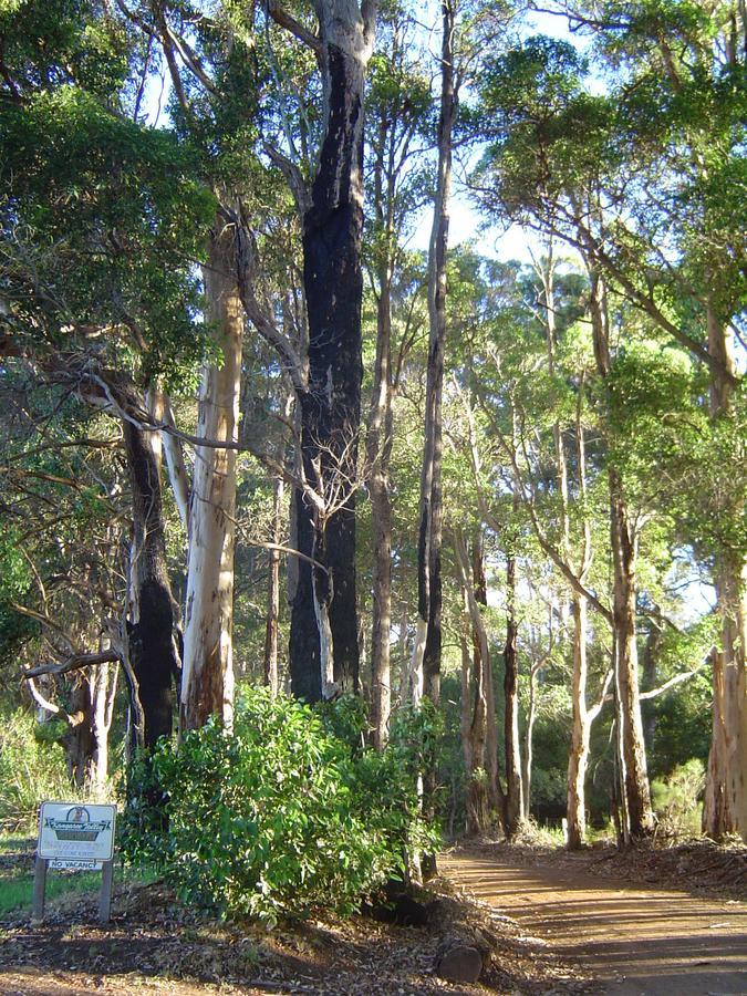 Kangaroo Valley Cottage Денмарк Екстер'єр фото